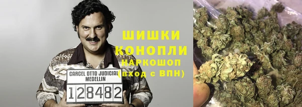 ПСИЛОЦИБИНОВЫЕ ГРИБЫ Нея