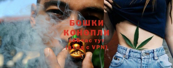 эйфоретик Новозыбков
