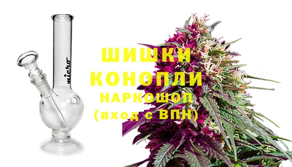 эйфоретик Новозыбков