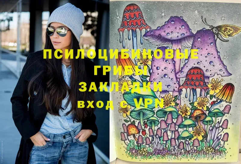 Псилоцибиновые грибы Cubensis  Куровское 