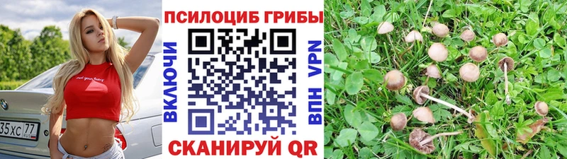 Галлюциногенные грибы ЛСД Куровское
